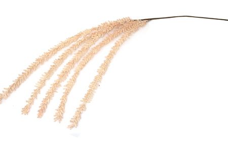 HASTE FLOR 120cm SALM TL04245A-AB