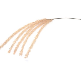 HASTE FLOR 120cm SALM TL04245A-AB