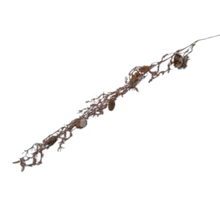 DEC NATAL HASTE CHL28186
