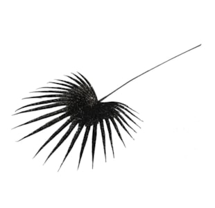 HASTE FETO PRETO 78cm MFT13836K