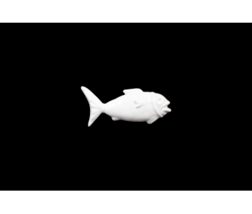 PEIXE TRANSP 16x10 865