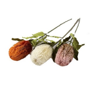 HASTE PROTEIA PASTEL 65cm 20305