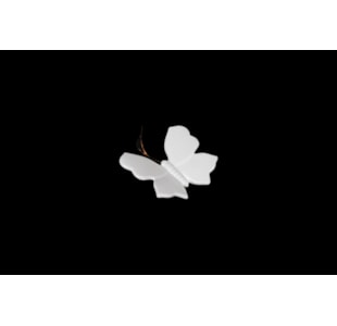 BORBOLETA PQ TRANSP 11x12 203
