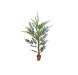 PALMEIRA FERN PALM 150CM 40038