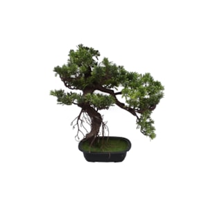BONSAI PODO 43CM 40019
