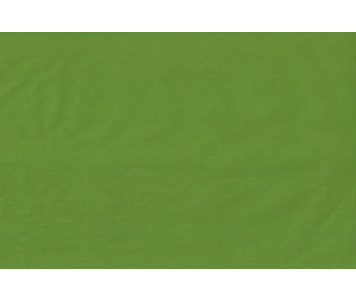 ROLO PAPEL KRAFT VERDE ALFACE 166