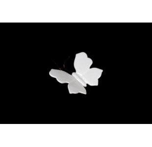 BORBOLETA MD TRANSP 13x15 204