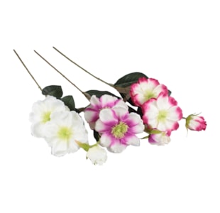 HASTE MAGNOLIA 87cm 30137
