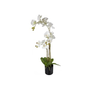 VASO ORQUIDEA GR 76 cm 52779