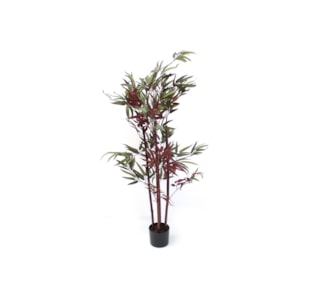 PLANTA BAMBU 04.YC18-HDZZ-120