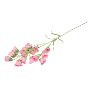 HASTE ROSA 04.L19630-DK/PK