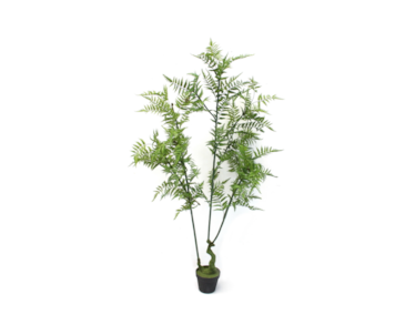 PLANTA FETO 175cm 04.GS-07218019