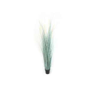 PLANTA PAMPAS 178cm 04.YLB-4089A-HYL-1331