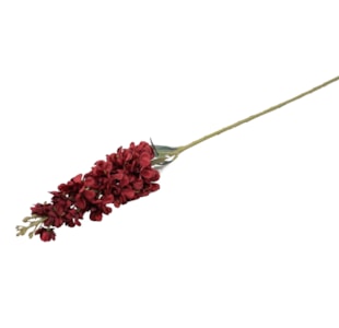 HASTE MATTHIOLA 80cm 04.L19254-RD