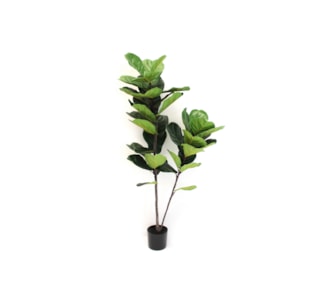 PLANTA 150cm 04.PC148-4