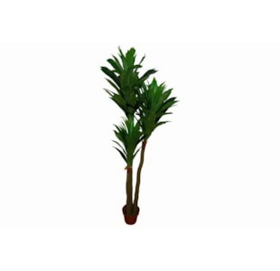 PLANTA FRESH 190CM 10800698