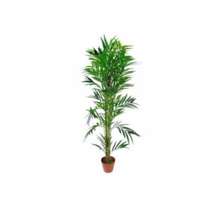 PLANTA BAMBOO P TREE 140cm CH10803380
