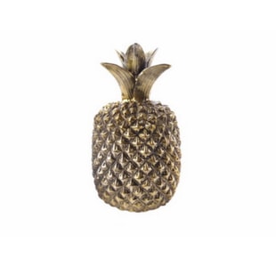 ANANAS DOUR 21x18 NY8507301