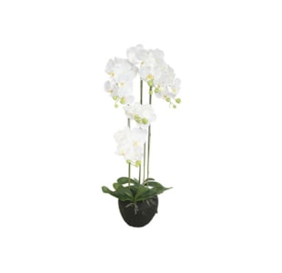 PLANTA ORQUIDEA 115cm 04 0010590