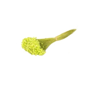 RAMO MARCELA C60 VRD 35cm 00-028 60