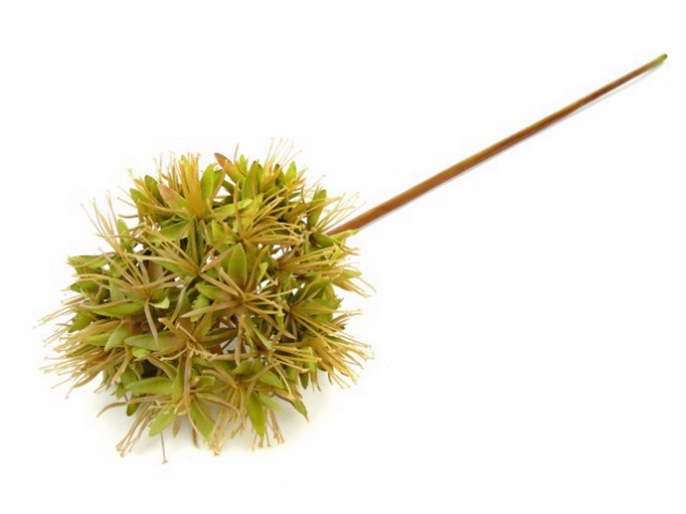 HASTE ALLIUM VRD 77cm 04.0010017