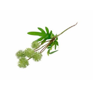 HASTE VRD 40cm 04.0011646