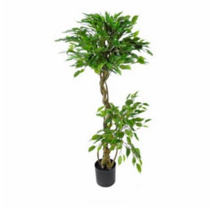 PLANTA FICUS 135cm 915-780PL1T