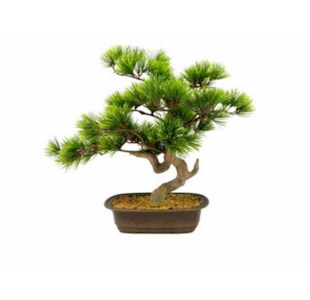 PLANTA BONSAI 57cm 04.0010766