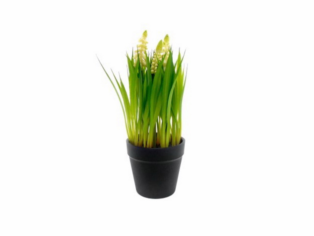 VASO  HYACINTH PER 25cm 04.0011410