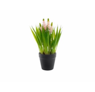 VASO HYACINTH RS 25cm 04.0011412