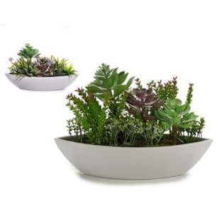 VASO CACTOS 2 SORT 27cm 22215