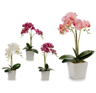 VASO ORQUIDEA 50cm 4 SORT 55253