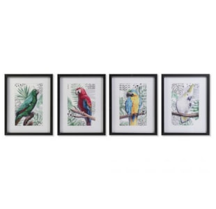 QUADRO PAPAGAIOS 4S 35x45x2,5 CU-193755