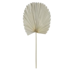 FOLHA PALMEIRA NAT 45X103 DH-186769