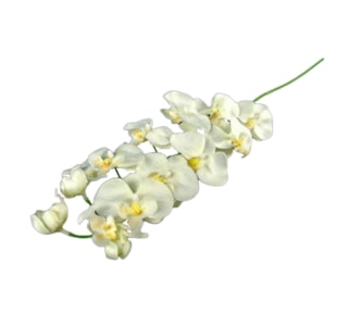 HASTE ORQUIDEA BRAN 100cm 04 0008215