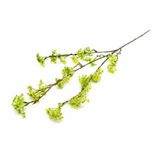 FLOR ARROZ VERDE 90cm 04 0011919