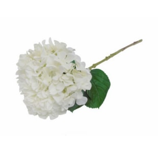 HORTENSIA BRAN 75cm 04 0011405