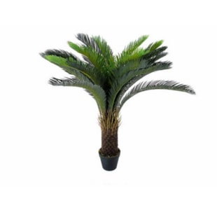 PLANTA POTTER TREE 98cm 04 0010268