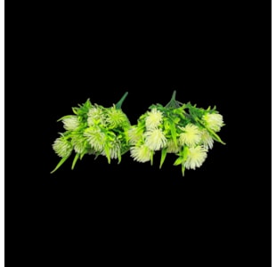 RAMO ARANHA X9 45cm 34134