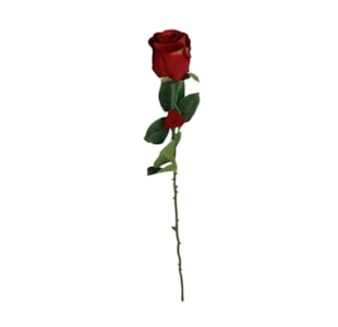HASTE ROSA CORACAO 65cm BY1920030