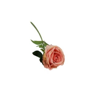 HASTE ROSA VELUDO 50cm 61002