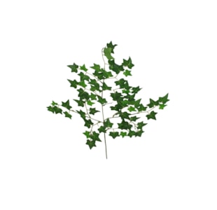 FOLHAGEM HERA 60cm 37027