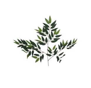 FOLHAGEM LAUREL 64cm 37033