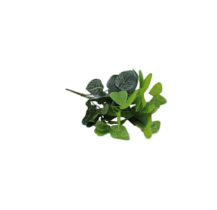 FOLHAGEM FITONIA X6 45cm 26019