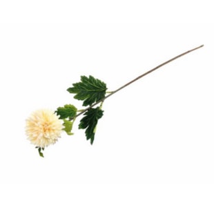 HASTE CRISANTEMO PER 58cm 04.0006527