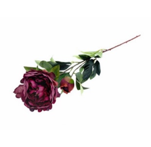 HASTE PEONIA BORDO 80cm 04.0006541