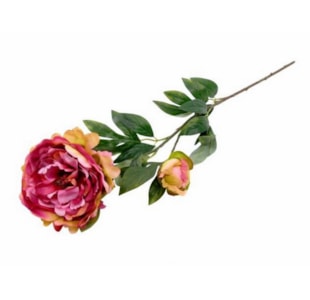 HASTE PEONIA ROSA 75cm 04.0006542
