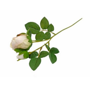HASTE ROSA CREME 36cm 04.0011947