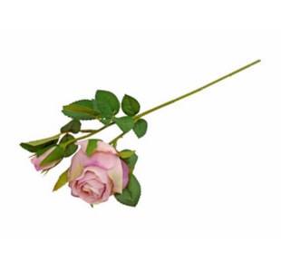 HASTE ROSA ROSA 36cm 04.0011949