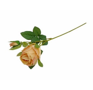 HASTE ROSA SALMAO 36cm 04.0011951